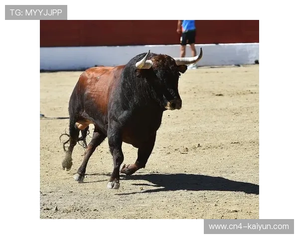拳击博彩市场分歧加剧 赔率揭示保罗赛事结果高度不确定